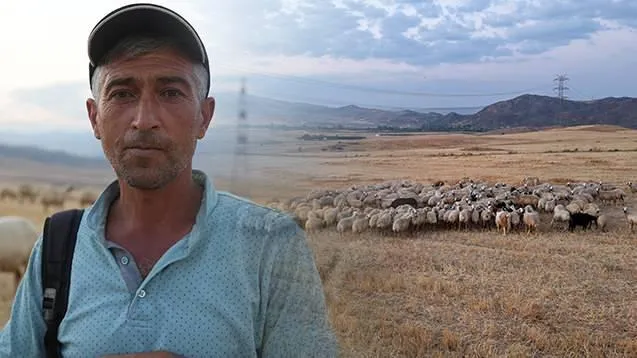Tüm ilçe bu olayı konuşuyor! Sürünün içinden 'ihanet' çıktı