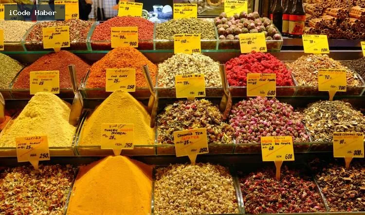 BAHARAT VE SUMAKTA İZİN VERİLMEYEN BOYALAR
