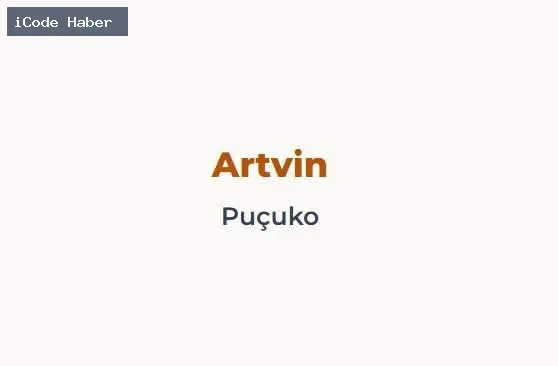 ARTVİN