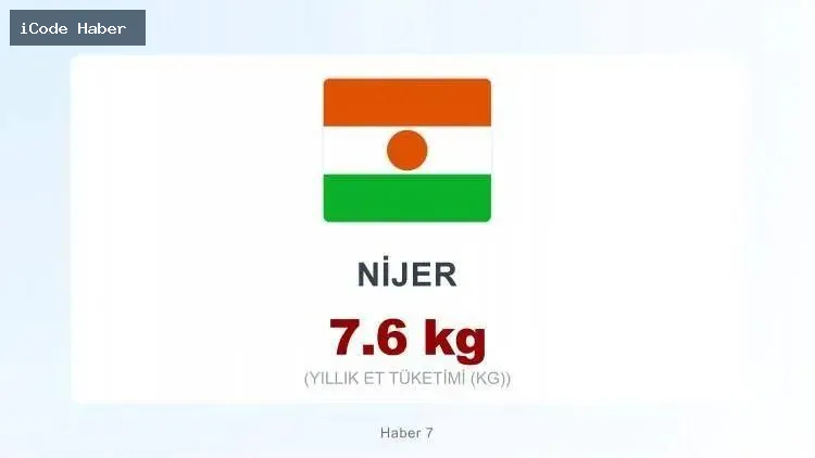 NİJER