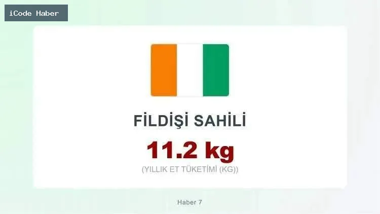 FİLDİŞİ SAHİLİ