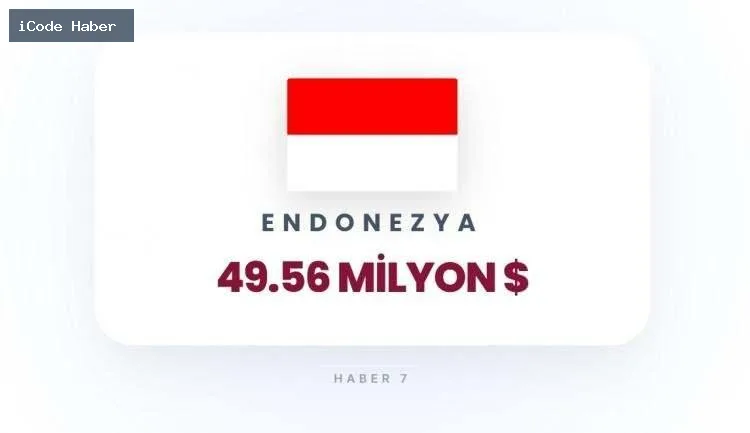 ENDONEZYA