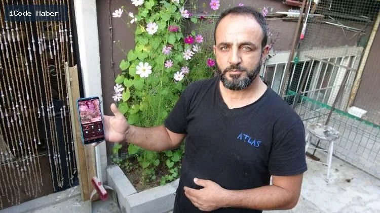 Erzurum'da ilginç güvercin tutkusu! 24 saat kamera, çelik kapı ve kurtla koruyor