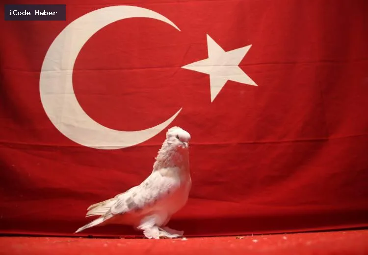 PİYASA DEĞERİ YAKLAŞIK 800 BİN TL