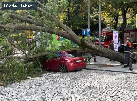 Şişli Harbiye’de korkutan anlar! Şiddetli rüzgar ağacı otomobilin üzerine devirdi